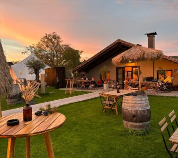 Catering Niederösterreich – abwechslungsreiches Buffet bei einer Firmenfeier mit professionellem Servicepersonal